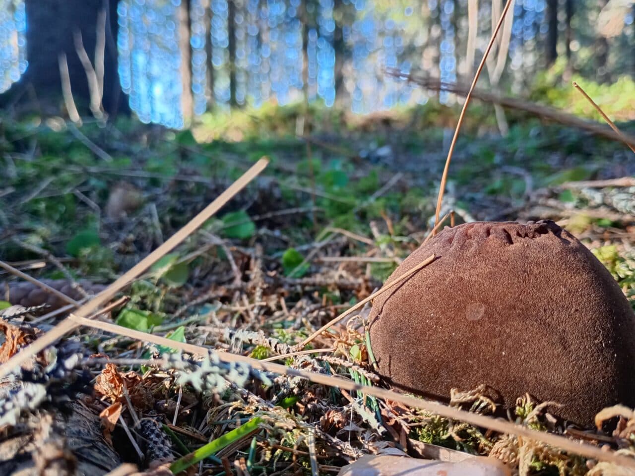 Åsäng den 18:e april 2026